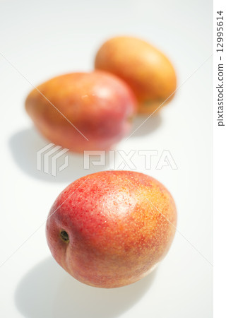 芒果 12995614