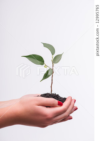Concept of new life 12995765