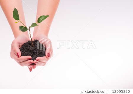 Concept of new life 12995830