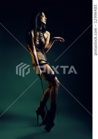bizarre woman with whip 12996485