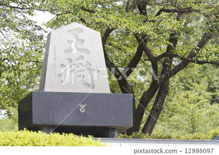 天童城市王 12998097