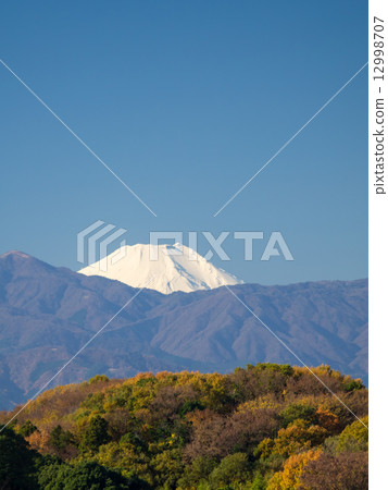 從神奈川縣觀看丹澤山和富士山 12998707