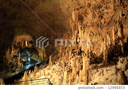 Tamaizumihora 12998853