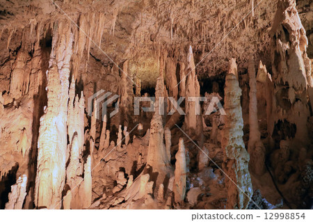 Tamaizumihora Tamaizumihora 12998854