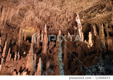 Tamaizumihora 12998855