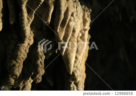 Tamaizumihora Tamaizumihora 12998858