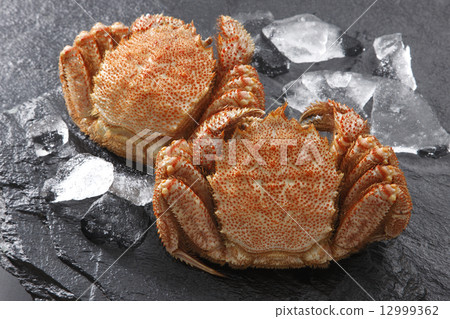 Hairy crab Hairy crab 12999362