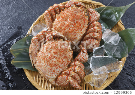 Hairy crab Hairy crab 12999366