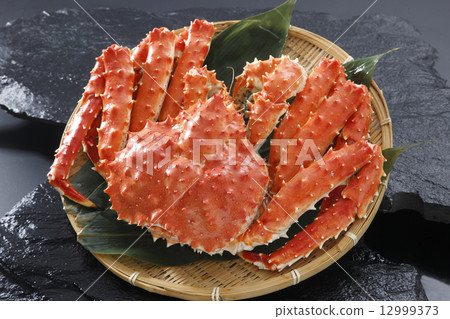 Tarabakani Tarabakani 12999373