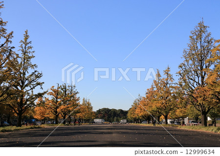 Fall of Wakokusidori 12999634