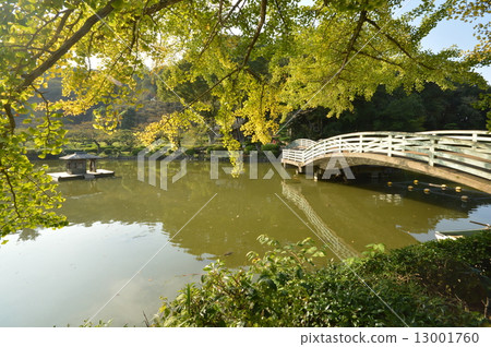 Aki Machida of Yakushiya Park 13001760