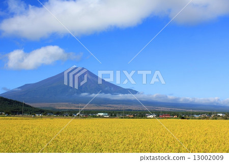秋天的風景和富士山 秋天的風景和富士山 13002009