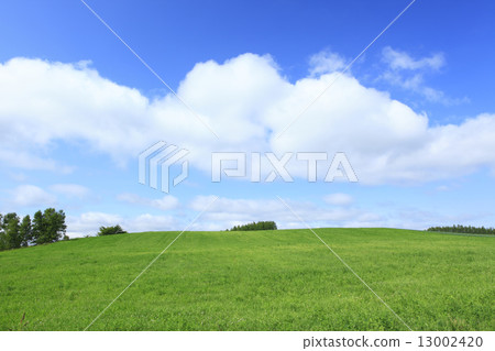 Hokkaido grassland and grove Hokkaido grassland and grove 13002420
