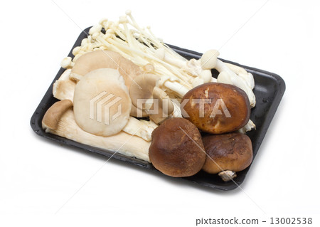 Many kind of mushroom in container such as Shitake, Eringii,  Sa 13002538