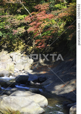 早川和箱根秋葉 13003692