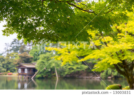 Kenrokuen  -  Monzuki 13003831