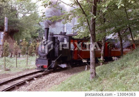 Showa 50 steam locomotive of Seibu Railway Yamaguchi Line 13004363