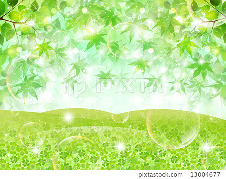 Leaf clover landscape 13004677