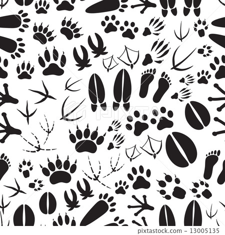 animal footprints black and white seamless pattern eps10 animal footprints black and white seamless pattern eps10 13005135
