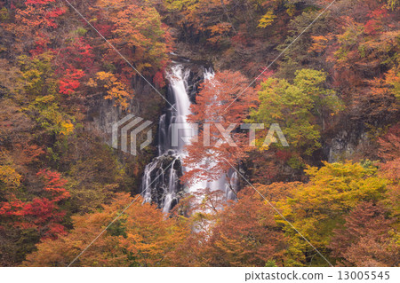 Kirifuri Falls in autumn colors Kirifuri Falls in autumn colors 13005545