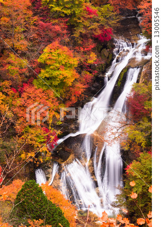 Kirifuri Falls in autumn colors Kirifuri Falls in autumn colors 13005546