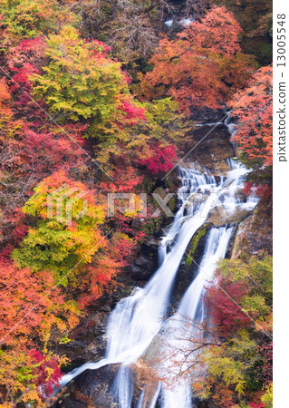 Kirifuri Falls in autumn colors 13005548