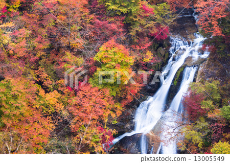 秋葉霧秋天瀑布 13005549