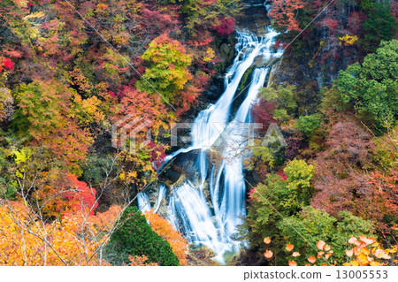 秋葉霧秋天瀑布 13005553