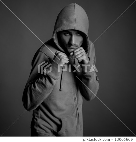 Boxer on grey background 13005669