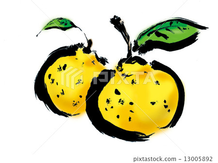 Citron Citron 13005892