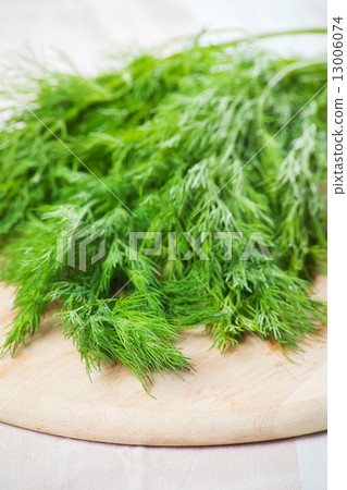 dill dill 13006074