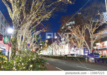 表參道的聖誕節照明 13007223