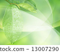 Eco image of fresh green 13007290