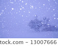 Snowfall 13007666