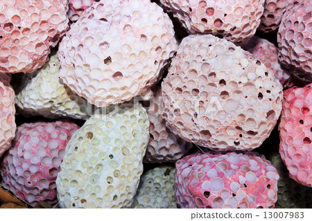 Spices and herbs on market 13007983