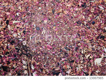 Spices and herbs on market 13007985