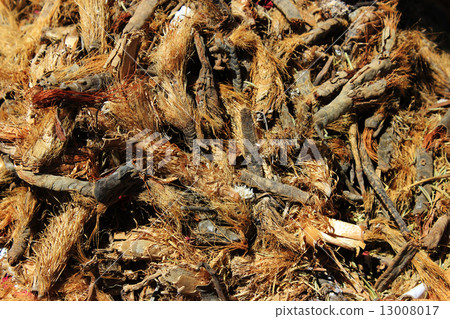 Spices and herbs on market 13008017