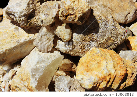 Spices and herbs on market 13008018