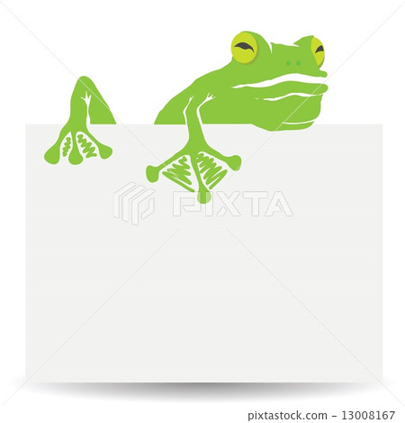 green frog 13008167