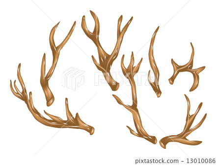 antlers 13010086