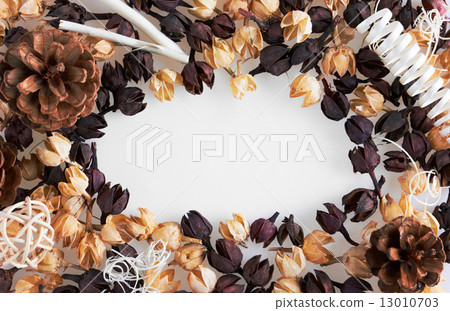 Frame of dried flowers 13010703