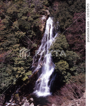 Rapid falls of early spring 13010753