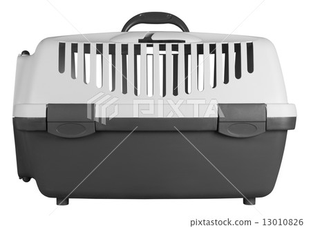 Pet carrier for traveling 13010826