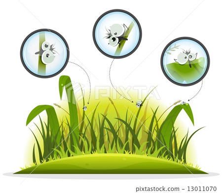 Funny Insect Character Inside Spring Grass Funny Insect Character Inside Spring Grass 13011070