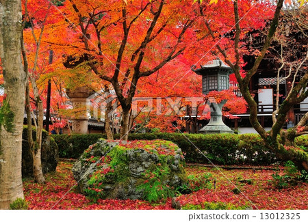 秋葉京都Eikanbo 13012325