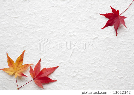 Kaede and Japanese paper 13012342