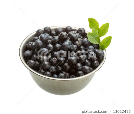 Blueberry 13012455
