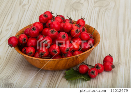 Hawthorn Hawthorn 13012479