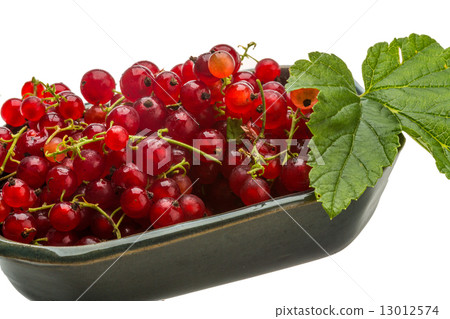 Red currant Red currant 13012574
