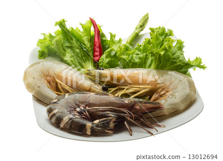 King and waterleg shrimps King and waterleg shrimps 13012694